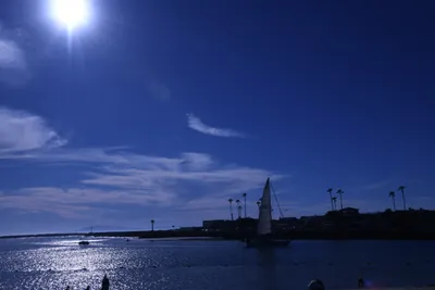 DSC_0835 (Large).JPG